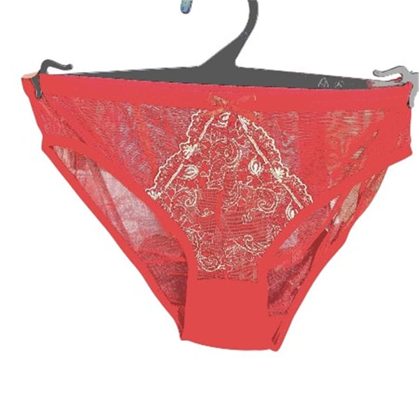 Sistina Kırmızı  Gold Nakış İşlemeli  Tül 2li Slip Takım