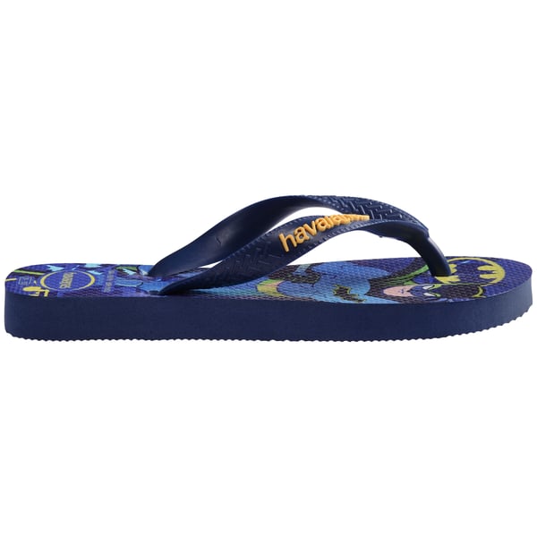 HAVAİANAS KIDS TOP WARNER ERKEK ÇOCUK PARMAK ARASI TERLİK 4150291