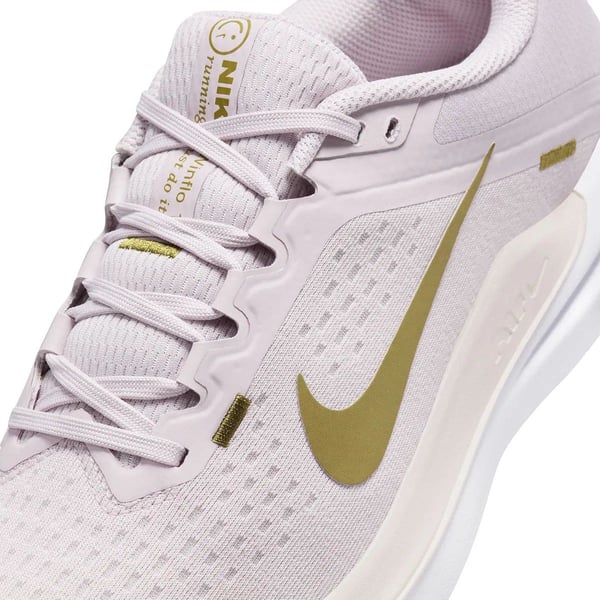 NIKE W AIR WINFLO 10 KADIN SPOR AYAKKABI DV4023