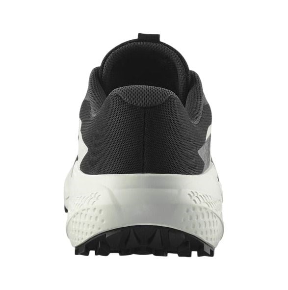 SALOMON ALPHAGLIDE ERKEK OUTDOOR AYAKKABI L47801000