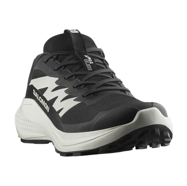 SALOMON ALPHAGLIDE ERKEK OUTDOOR AYAKKABI L47801000