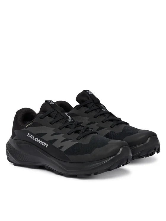 SALOMON ALPHAGLIDE GTX W KADIN OUTDOOR SPOR AYAKKABI L49214400