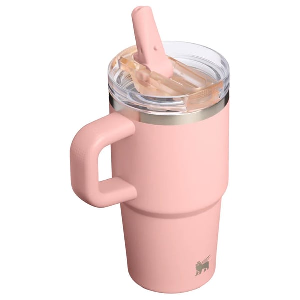 Stanley The Quencher ProTour Flip Straw Tumbler 0.59L / 20oz 10-12484-0287
