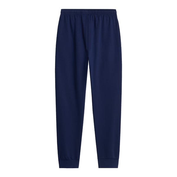THE NORTH FACE M EVOLUTION SIMPLE DOME REGULAR JOGGER ERKEK EŞOFMAN ALTI NF0A8CWY8K21
