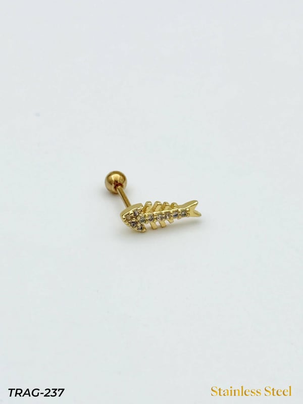 Çelik Tragus // TRAG-237TRAG-237