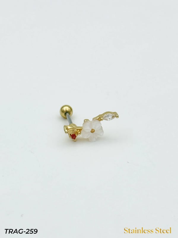 Çelik Tragus // TRAG-259TRAG-259
