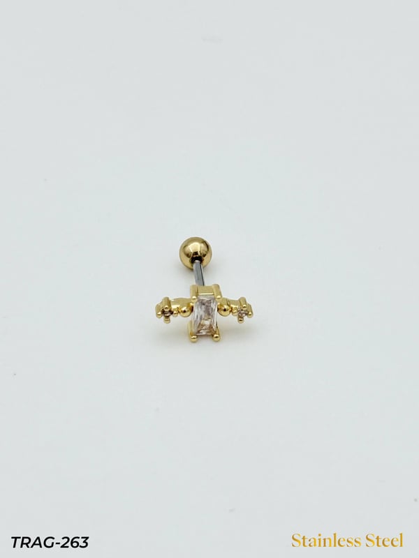 Çelik Tragus // TRAG-263TRAG-263