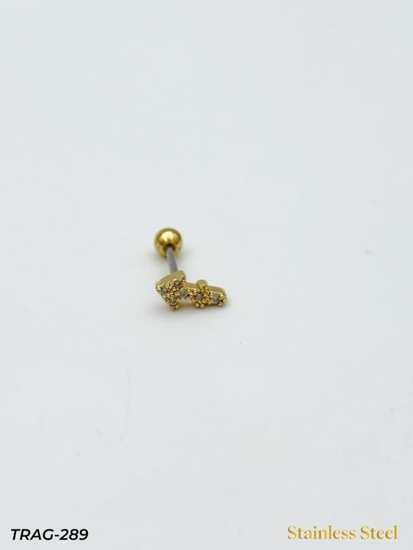 Çelik Tragus // TRAG-289TRAG-289