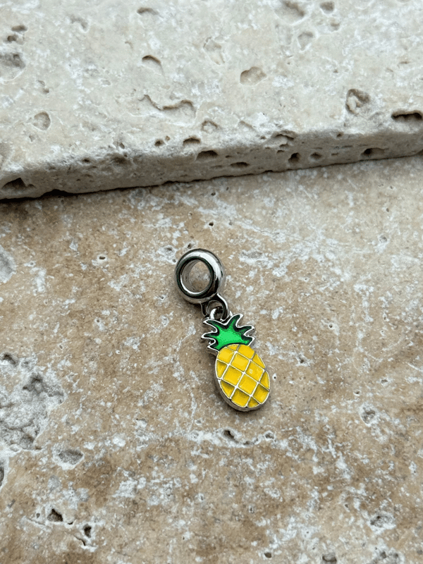 PNDR Charm // CHARM-767.CHARM-767