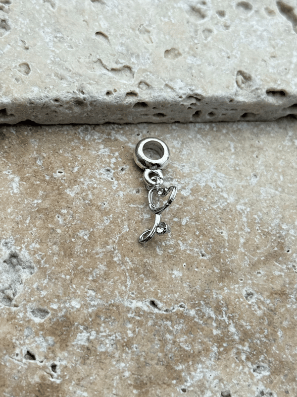 PNDR Charm // CHARM-774.CHARM-774