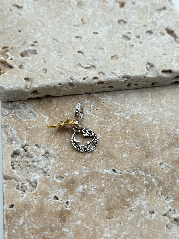 PNDR Charm // CHARM-791.CHARM-791