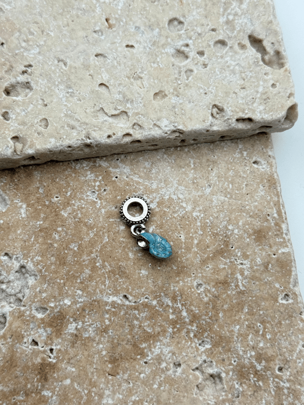 PNDR Charm // CHARM-828.CHARM-828