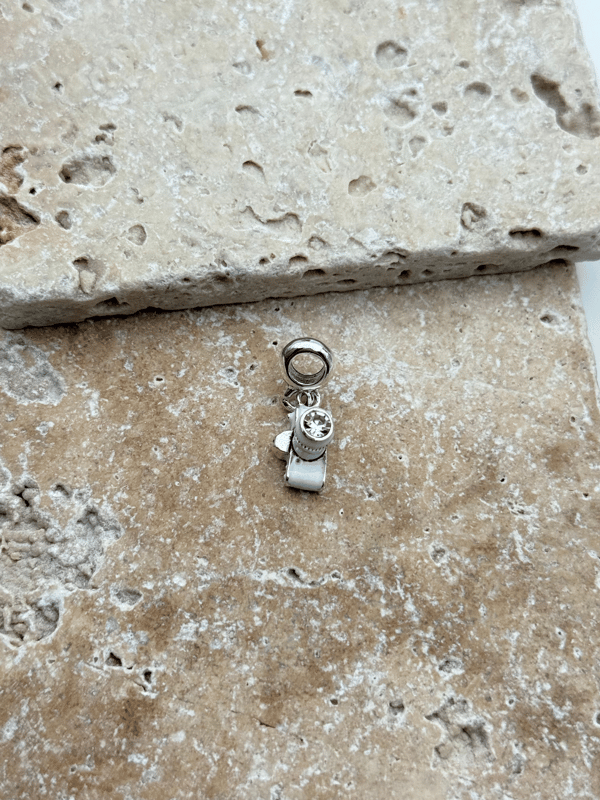 PNDR Charm // CHARM-830.CHARM-830