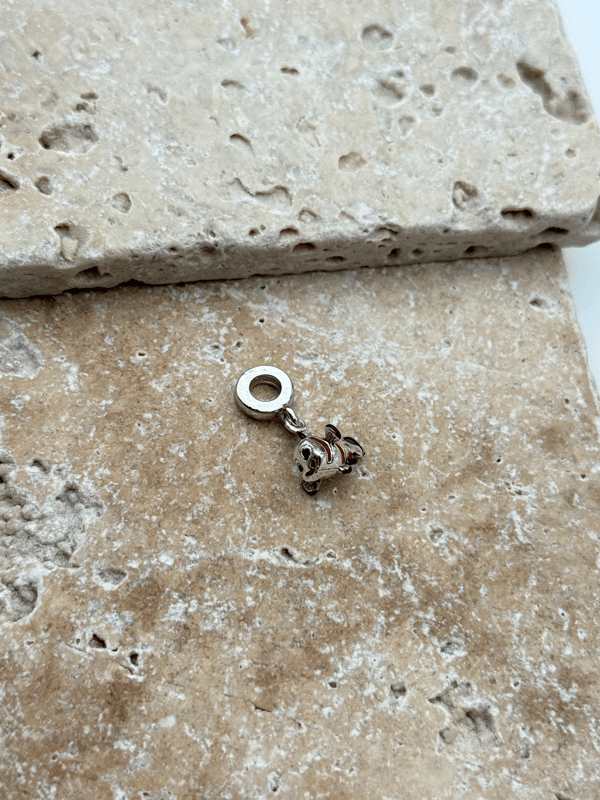 PNDR Charm // CHARM-832.CHARM-832