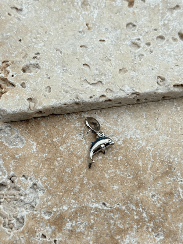 PNDR Charm // CHARM-837.CHARM-837