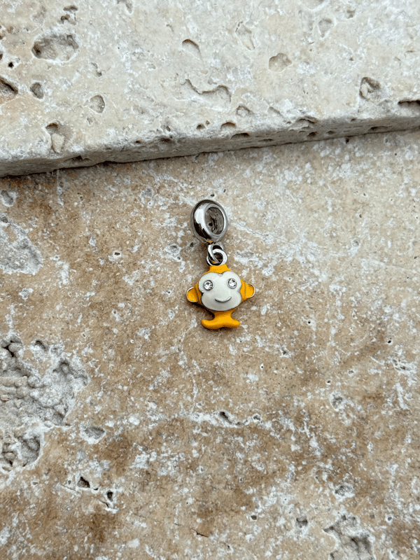 PNDR Charm // CHARM-860.CHARM-860