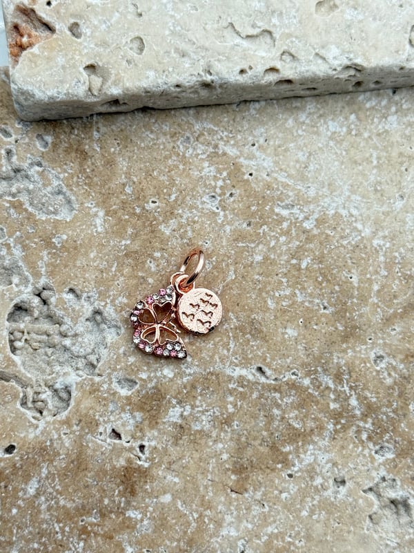 PNDR Charm // CHARM-869.CHARM-869