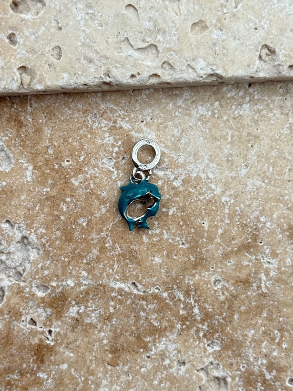 PNDR Charm // CHARM-876.CHARM-876