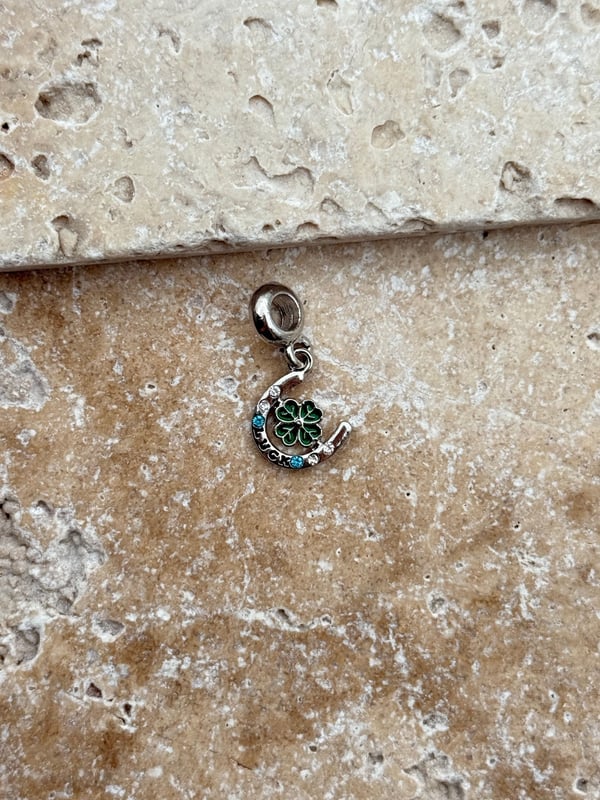 PNDR Charm // CHARM-884.CHARM-884