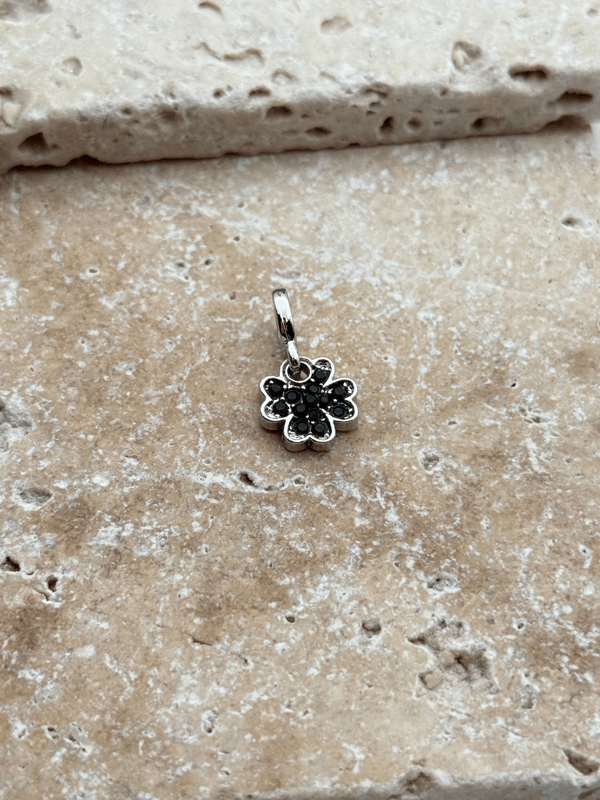 PNDR Charm // CHARM-890.CHARM-890