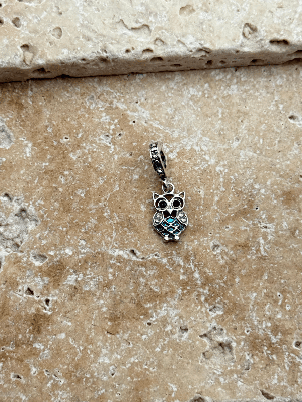 PNDR Charm // CHARM-906.CHARM-906