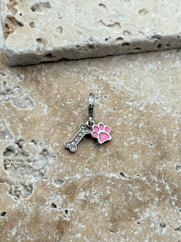 PNDR Charm // CHARM-919.CHARM-919