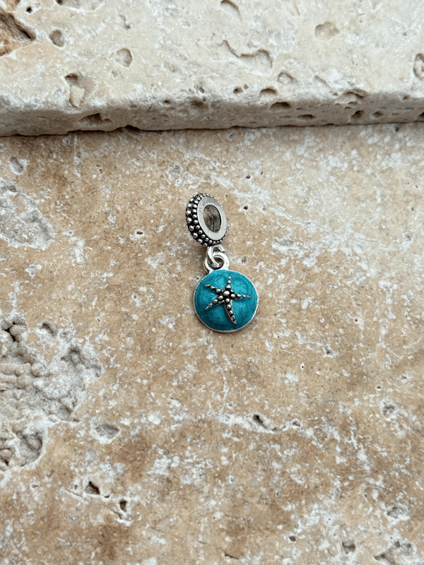 PNDR Charm // CHARM-923.CHARM-923