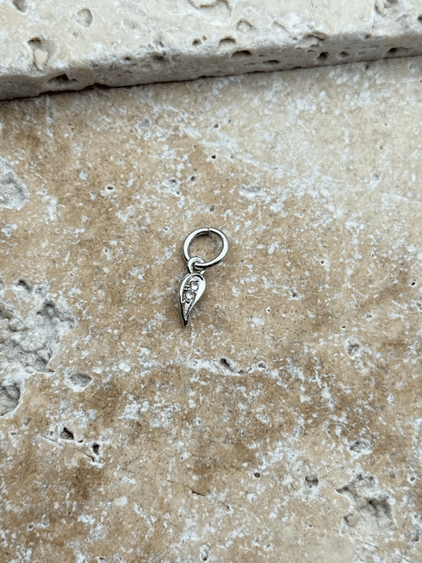 PNDR Charm // CHARM-928.CHARM-928