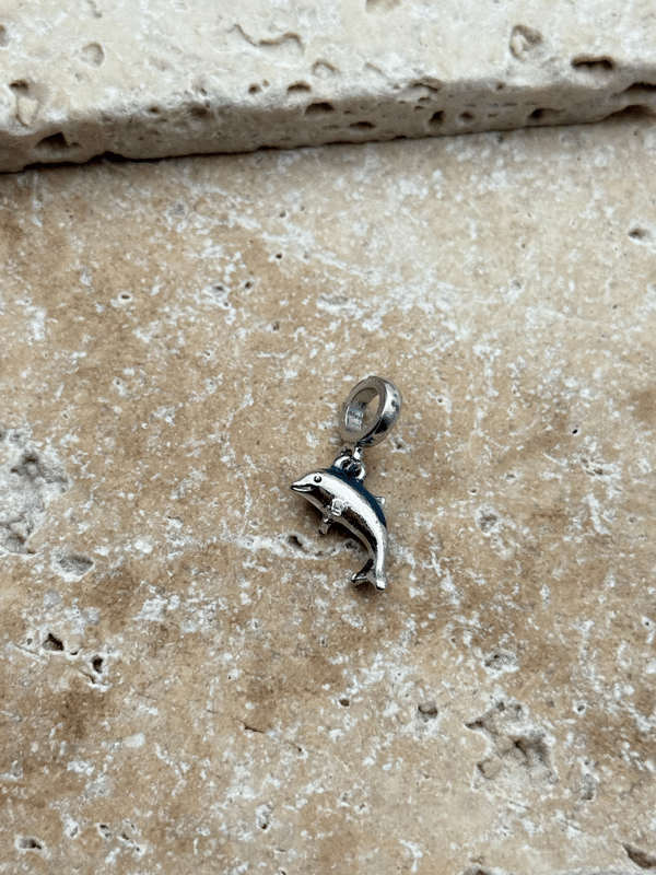 PNDR Charm // CHARM-943.CHARM-943