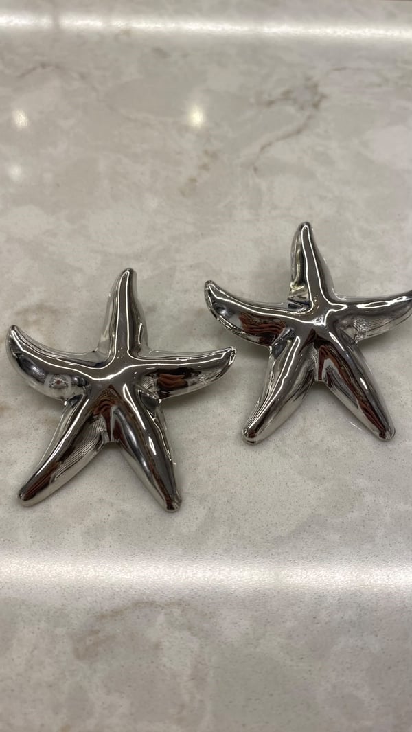 Silver Deniz Yıldızı Küpe 