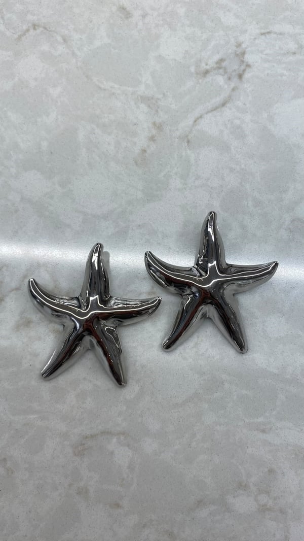 Silver Deniz Yıldızı Küpe 