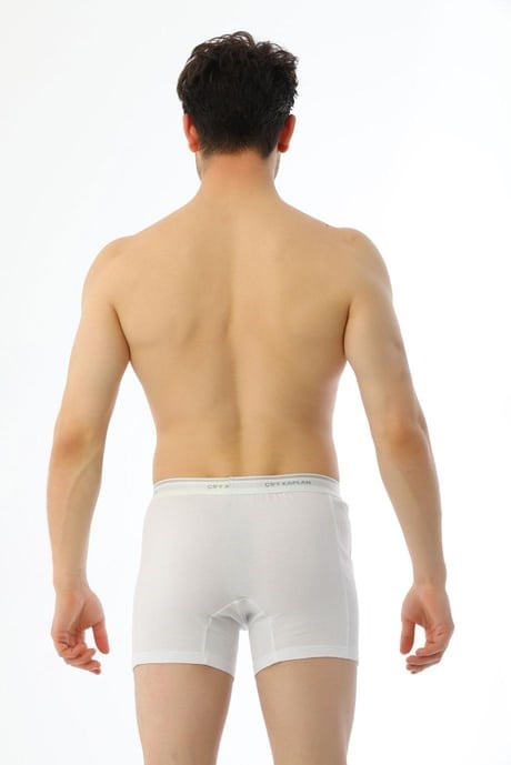 Çift KaplanErkek Elastanlı Biyeli Beyaz Boxer Şort 880