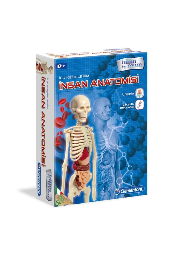 Clementonı İlk Keşiflerim (İnsan Anatomisi)
