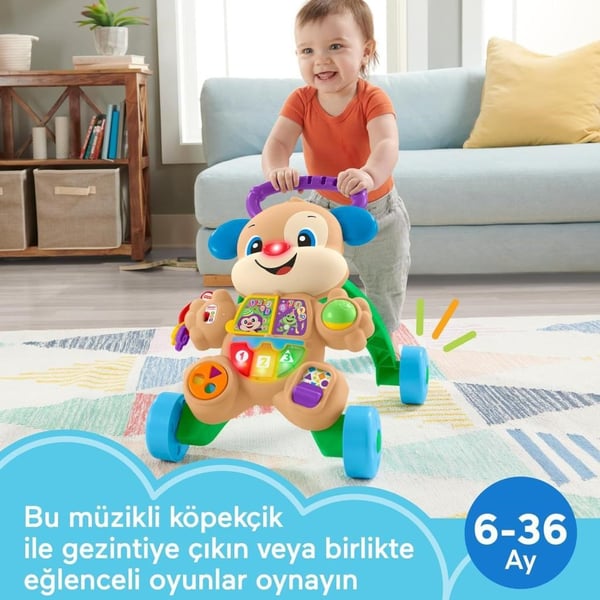 Fisher Price Eğlen ve Öğren Yaşa Göre Gelişim Eğitici Köpekçik Yürüteç