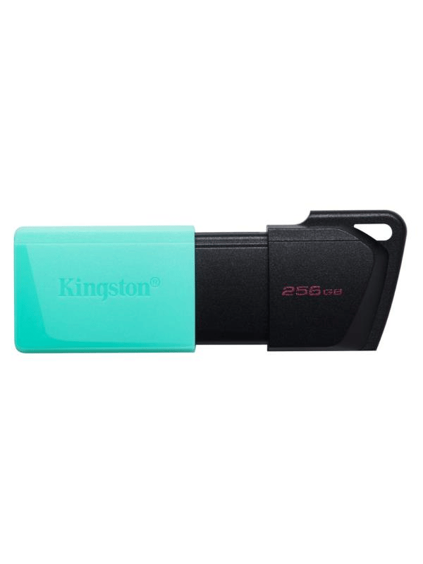 Kingston DTXM/256GB 256GB USB3.2 Gen1 DataTraveler Exodia M (Black + Teal) Flash Bellek