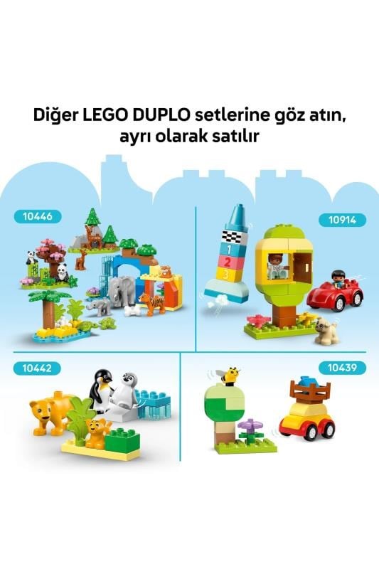 Lego Duplo Yeşil Yapım Plaka 10460