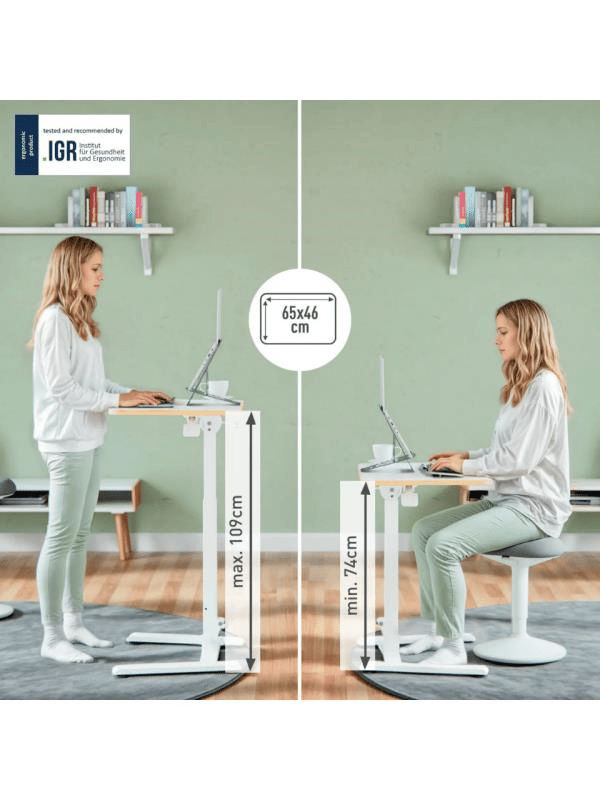 Leitz Ergo Katlanabilir Küçük Sit-Stand Çalışma Masası - LOD:65880001