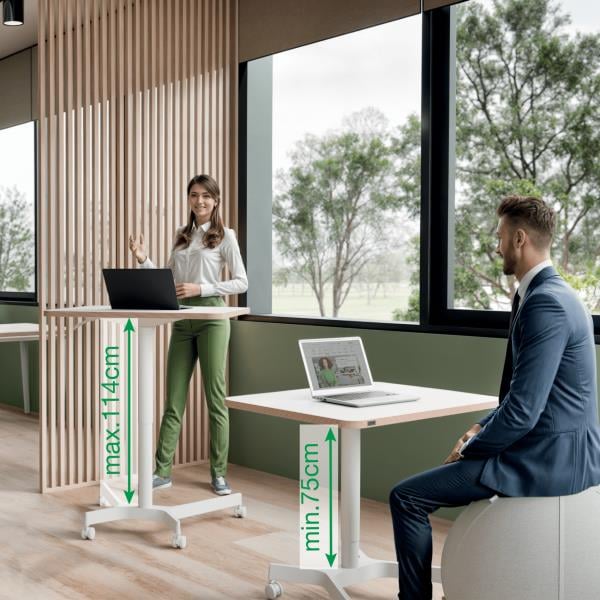 Leitz Ergo Küçük Sit Standing Çalışma Masası KOD:65360001