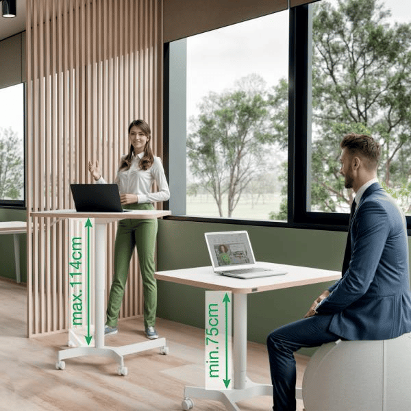 Leitz Ergo Küçük Sit Standing Çalışma Masası KOD:65360001