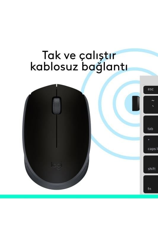 Logitech M171 Kablosuz Mouse Siyah 910-004424