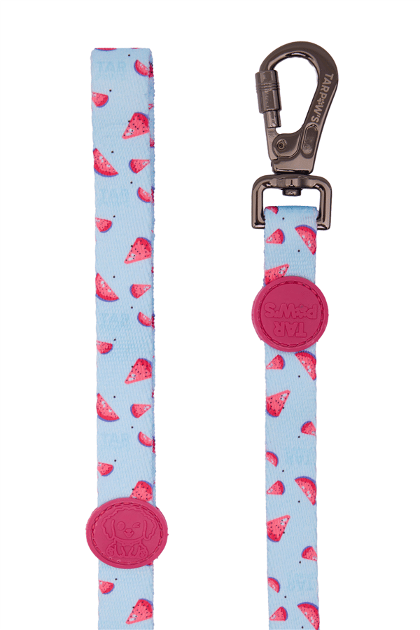 Berry Chic Gezdirme Tasması Fuşya