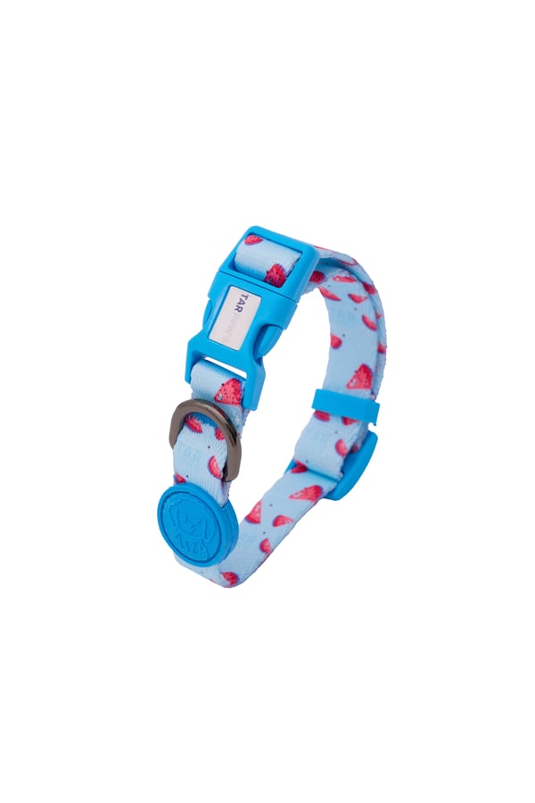 Berry Paw Boyun Tasması Mavi