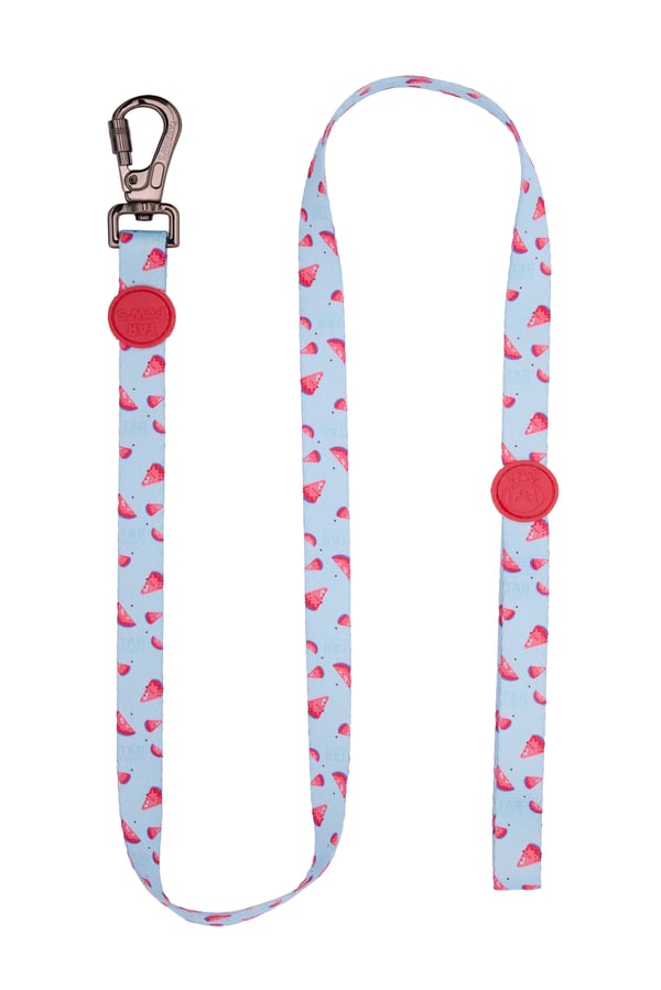 Berry Pop Gezdirme Tasması Kırmızı