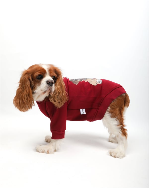 Coffee Dog Basıc Kazak Bordo