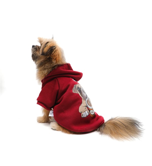 Coffee Dog Kapüşonlu Sweatshirt Bordo