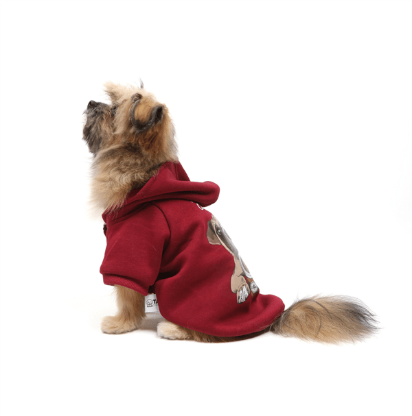 Coffee Dog Kapüşonlu Sweatshirt Bordo