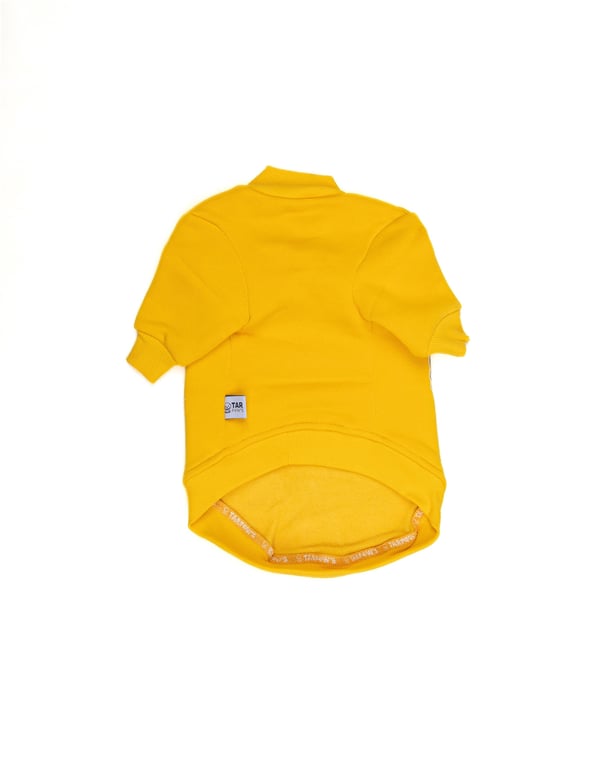 Cool Yellow Basic Kazak Sarı