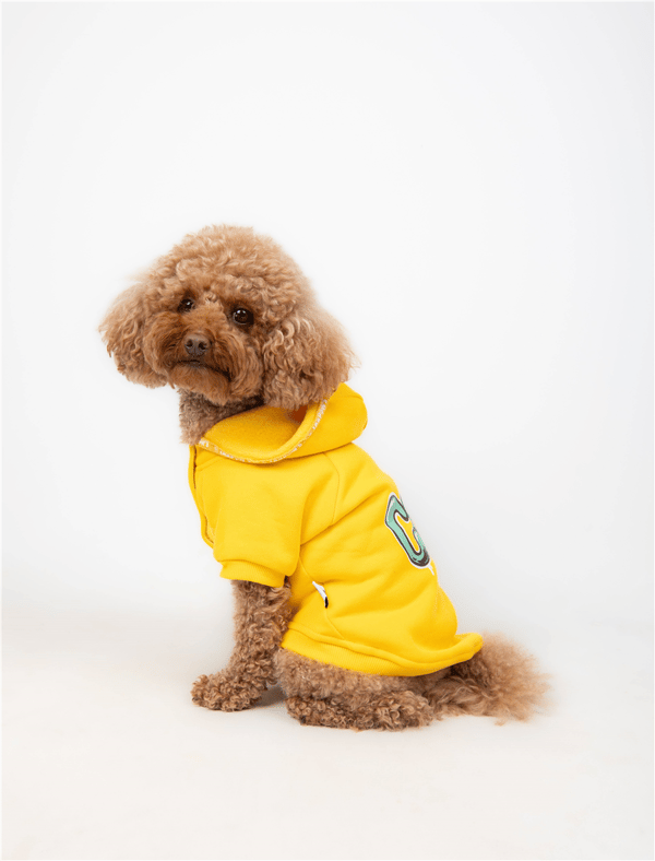 Cool Yellow Kapüşonlu Sweatshirt Sarı