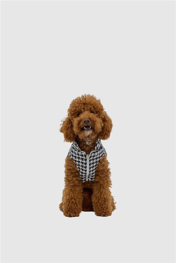Haute Hound Çift Taraflı Yelek Karışık