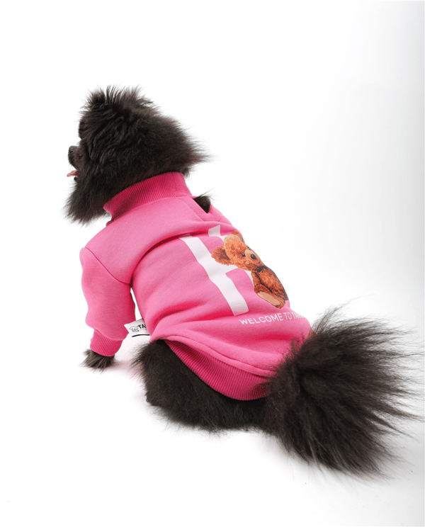 Hı Pink Basic Kazak Pembe